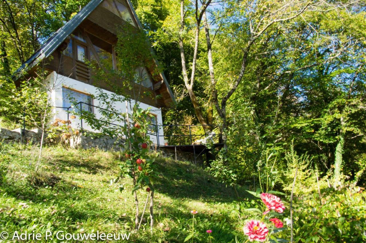Herzegovina Lodges Boracko Jezero Konjic Dış mekan fotoğraf